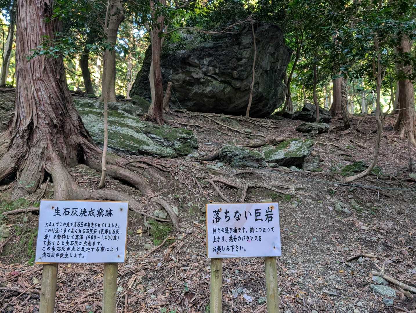 落ちないというかびくともしなかった