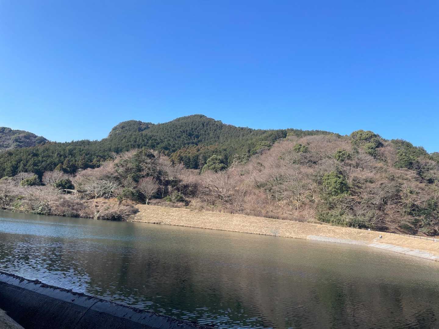 今日もいい天気です☀️