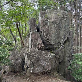 岩茸石🪨
