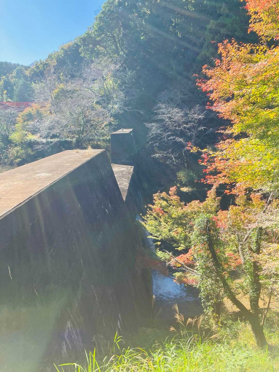 梟ヶ城址展望台-天下峯 周回コースの写真