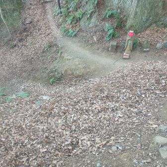 落ち葉で分岐点が埋まってます😅