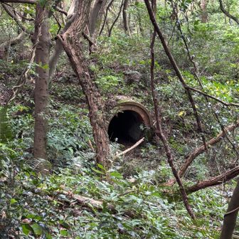 今日唯一見れた遺構。詳しいことは知らないけど、石の採掘に使ってたのかな?