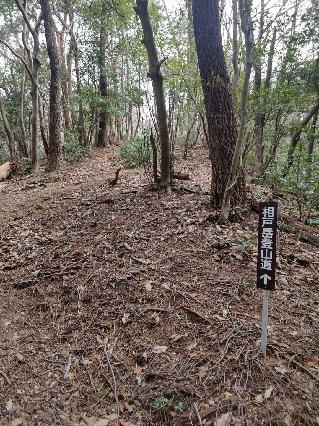 年１回   山道を整理されているそうです！👏ありがとうございます🍀