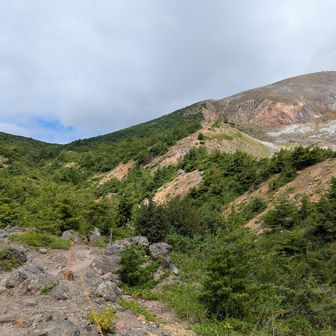 登山道は左側から登っていきます