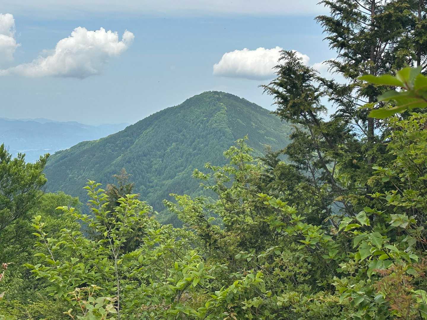 裏の武甲山。