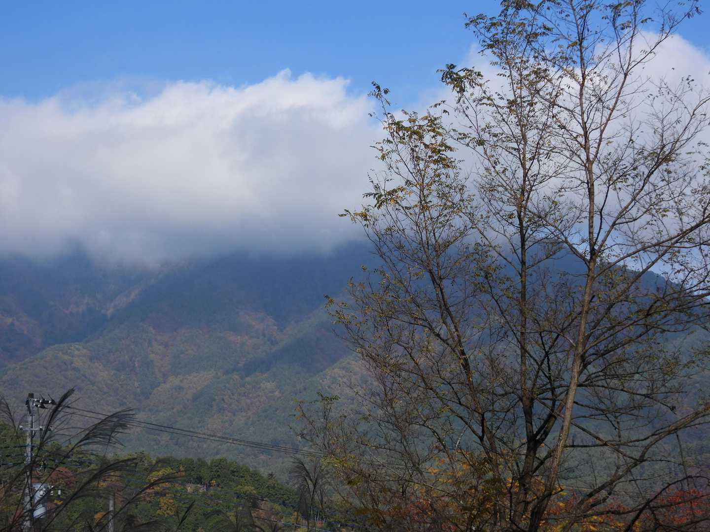 反対側の三つ峠山は雲に隠れていた