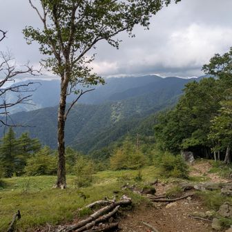 曇ってきた