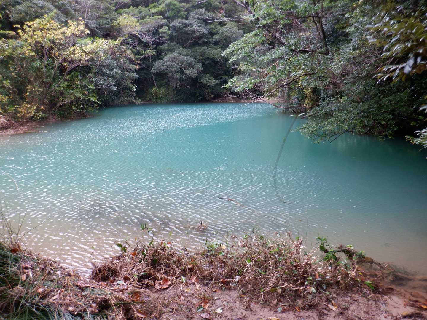 コバルトブルー