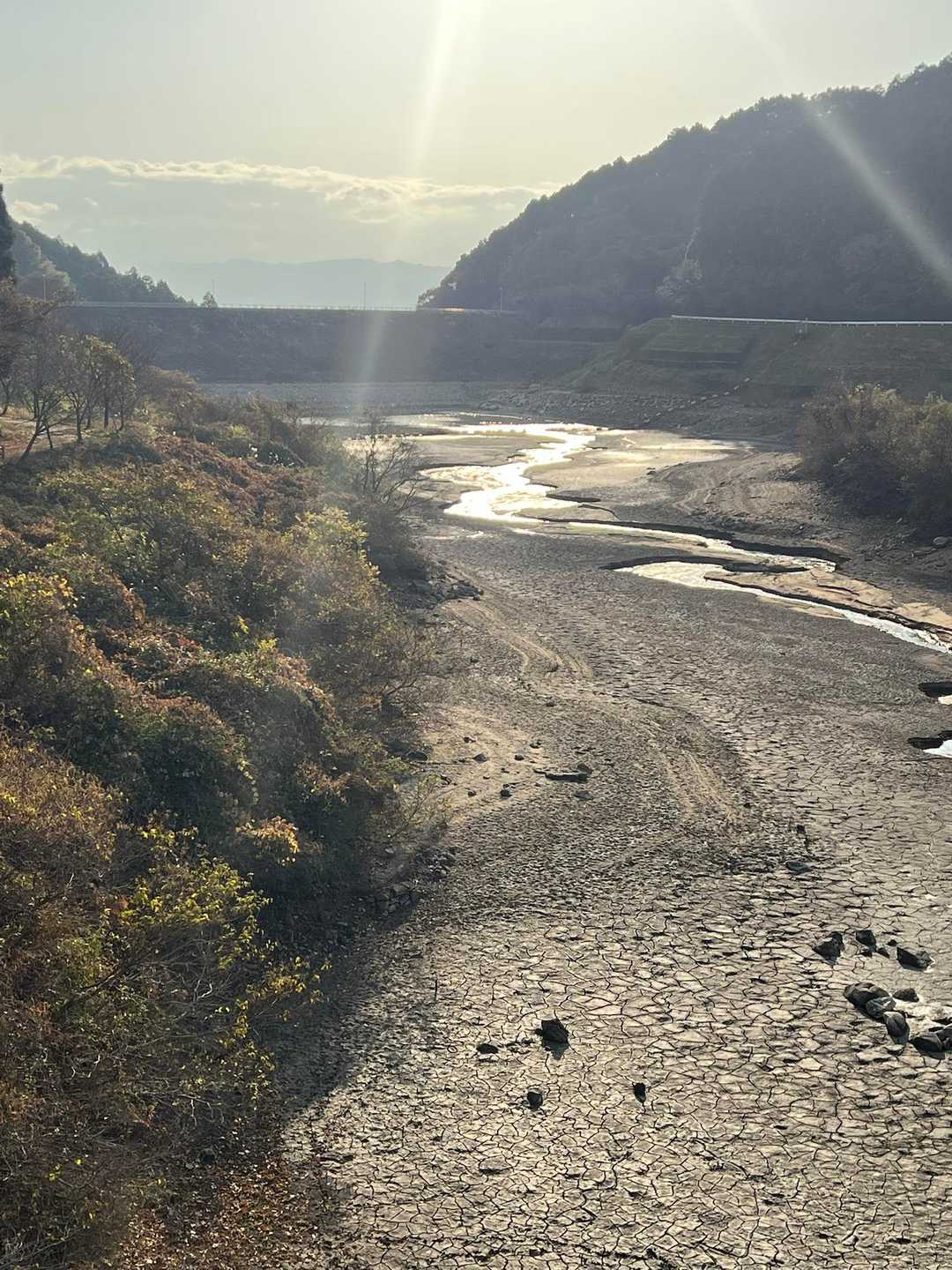 河内ダムバス停-奥山 周回コースの写真