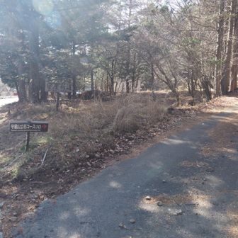 ここからロード歩き