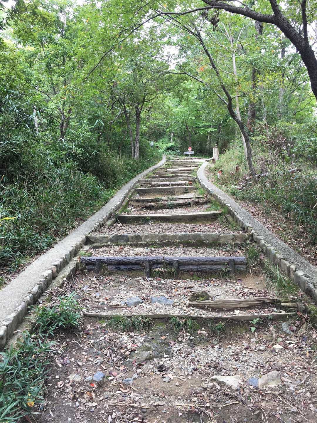 五月山公園大広寺バス停-五月山 往復コースの写真