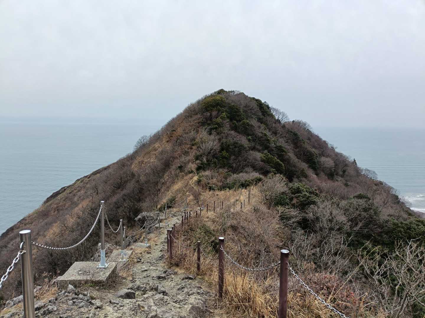 角田山桜尾根 | 雪割草・カタクリの花道から登り、日本海と灯台を望んで下る周回の写真