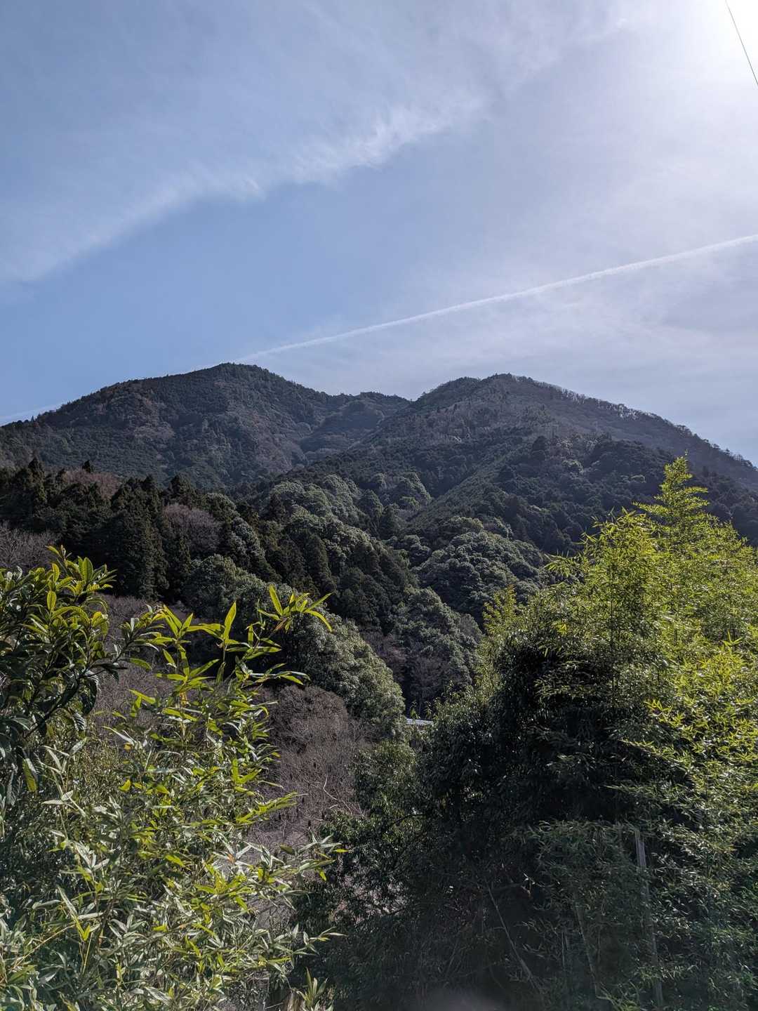 緑が ええ感じです🌳🌿
