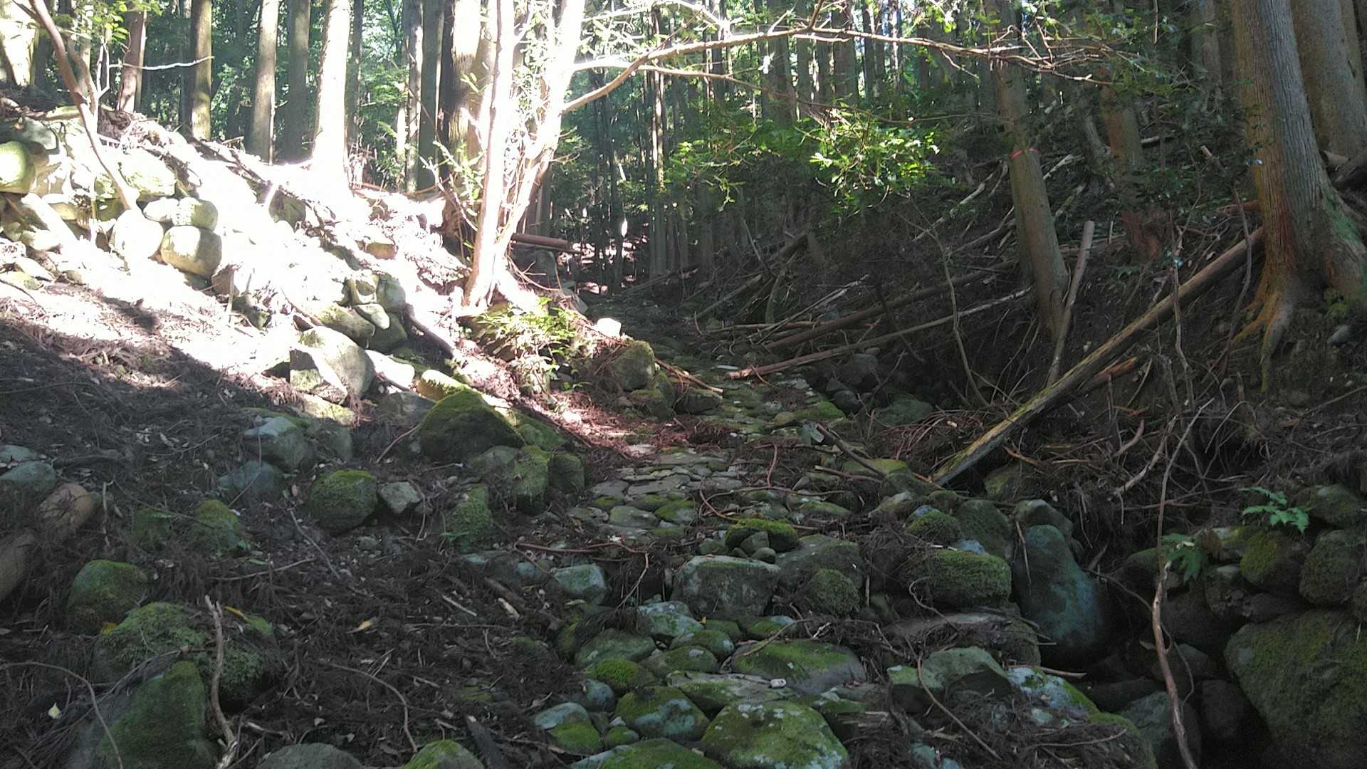 その後 登山道は 石畳 、石段に