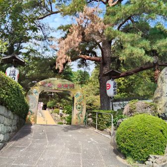 さて戻って世田山へ。