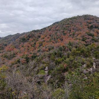 ピークを少し過ぎた紅葉。