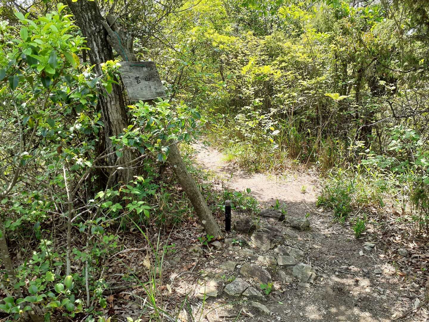宮山の写真