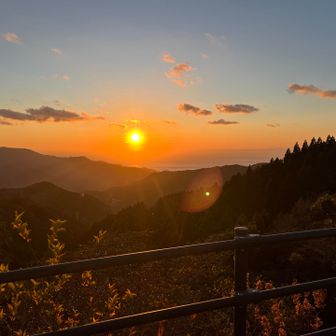 まっじで綺麗。