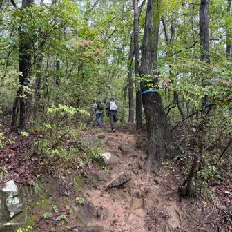 登山道へ

この山、ヒルが居るらしく、
ヒル未遭遇のまさしさんは、ヒルに会えるのか！？