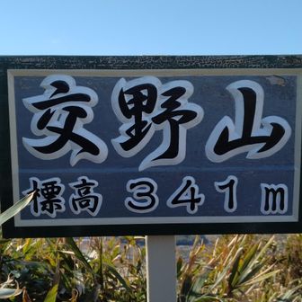 交野のハイカー