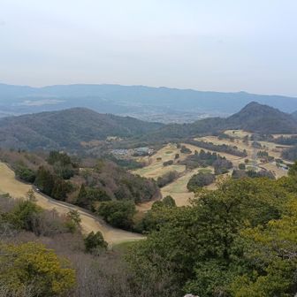 一面のゴルフ場⛳