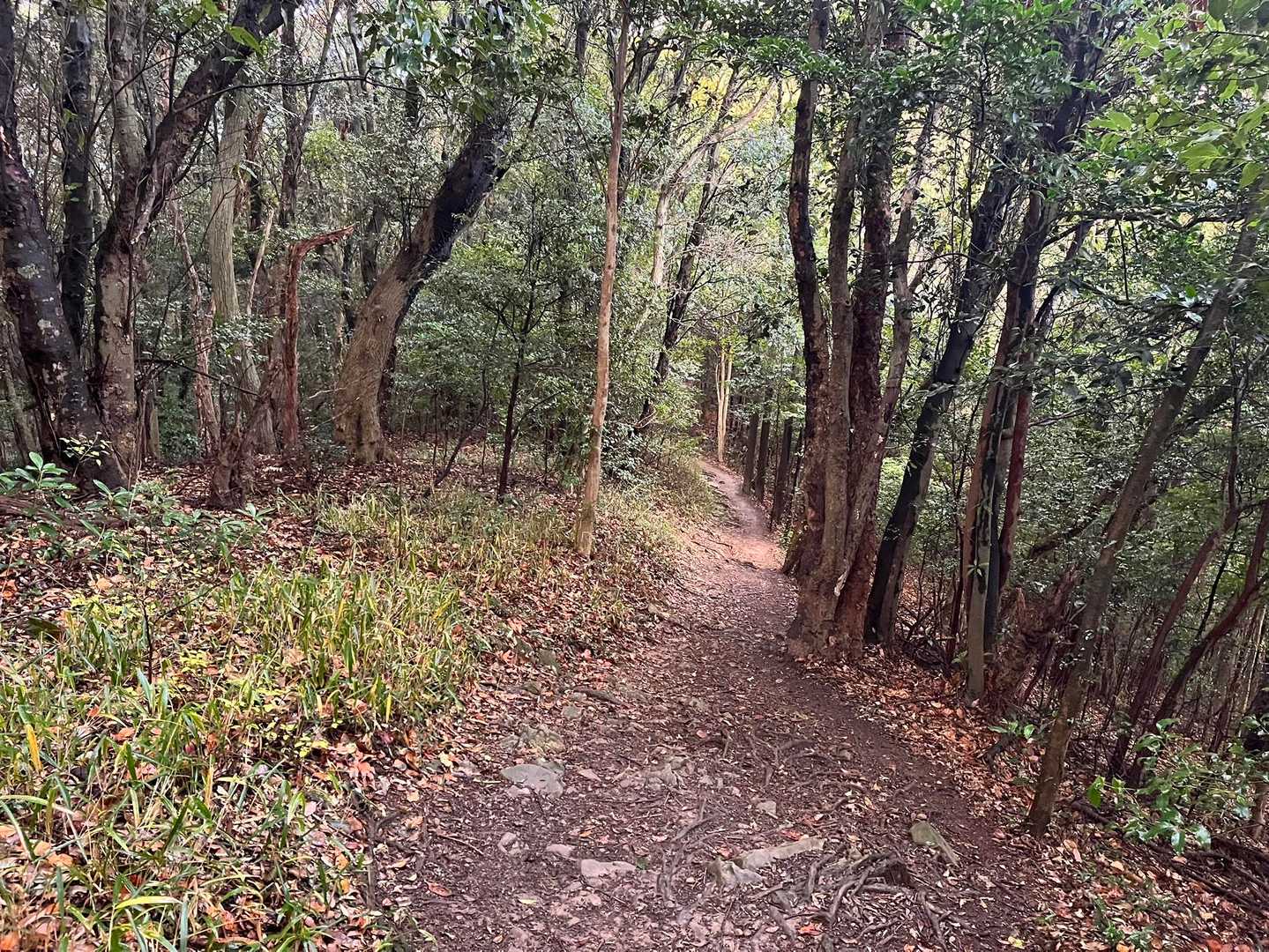 神石山へ向かいます🚶