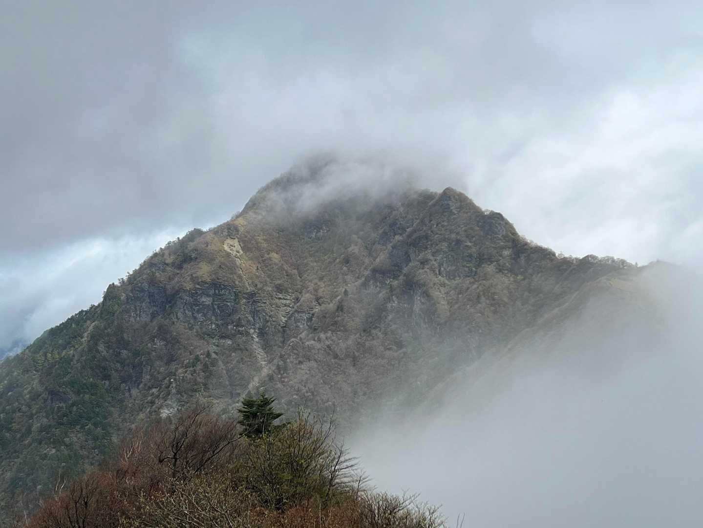 堂々たる寒風山出現🤩
伊予富士には振られましたが、寒風山には迎い入れてもらいました