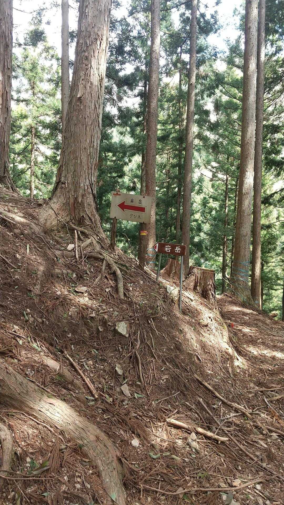 ココから急登(^_^;)