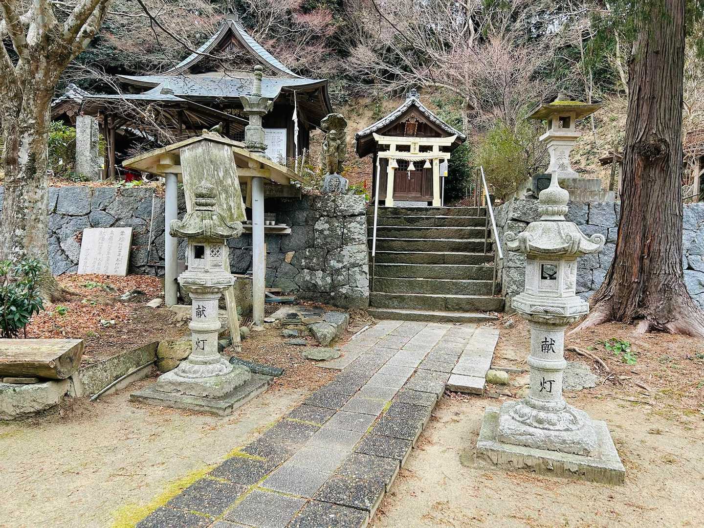 火山 往復コースの写真