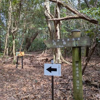 赤松台に着いた。
福智山からは割と下りが多くて結構頑張って走った。
福智山辺りで1時間あとにスタートしたトレランの方々が次々と走ってくる😱
登りも走ってるし、下りや平坦なとこはとんでもないスピード😱😱
凄すぎる😵