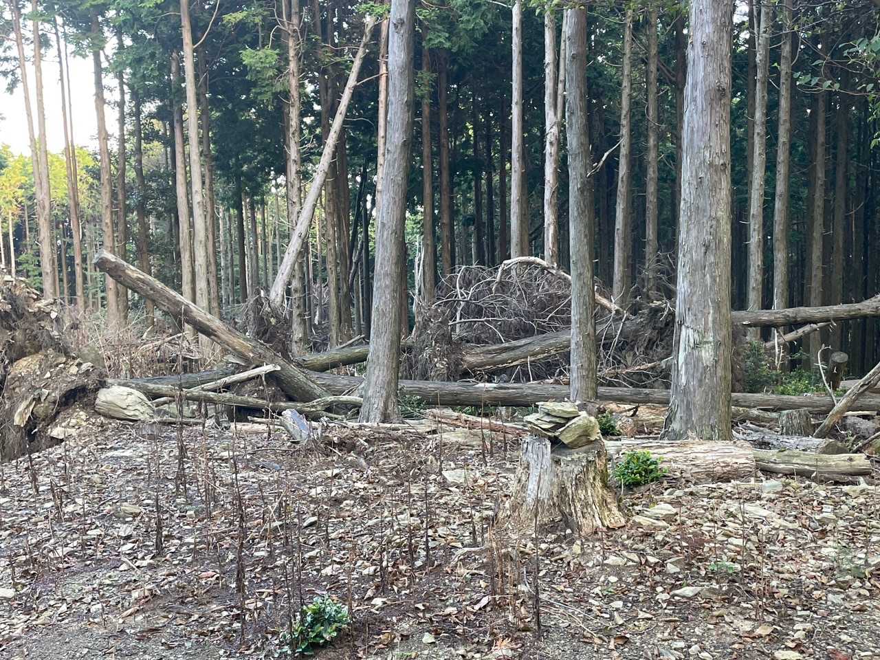 柳ノ檀山、山頂不明