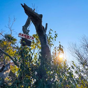 
で、まだピーク取れてない仲間のために【六道輪廻ヶ岳】も周った
