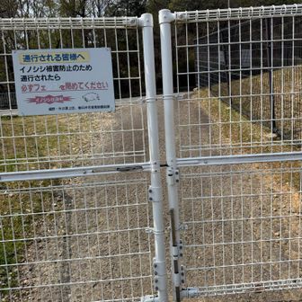 この柵越えると道路つたいに駐車場🅿️へ