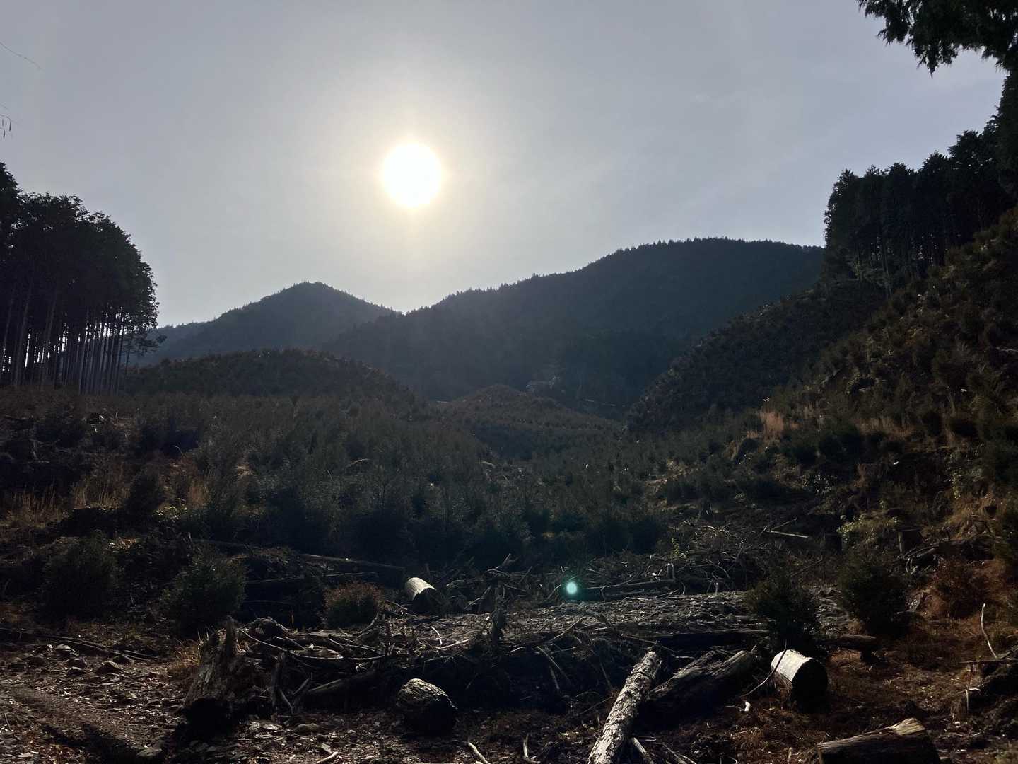 大根地山 往復コースの写真