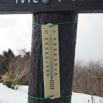 気温は暖かい　なんと５度