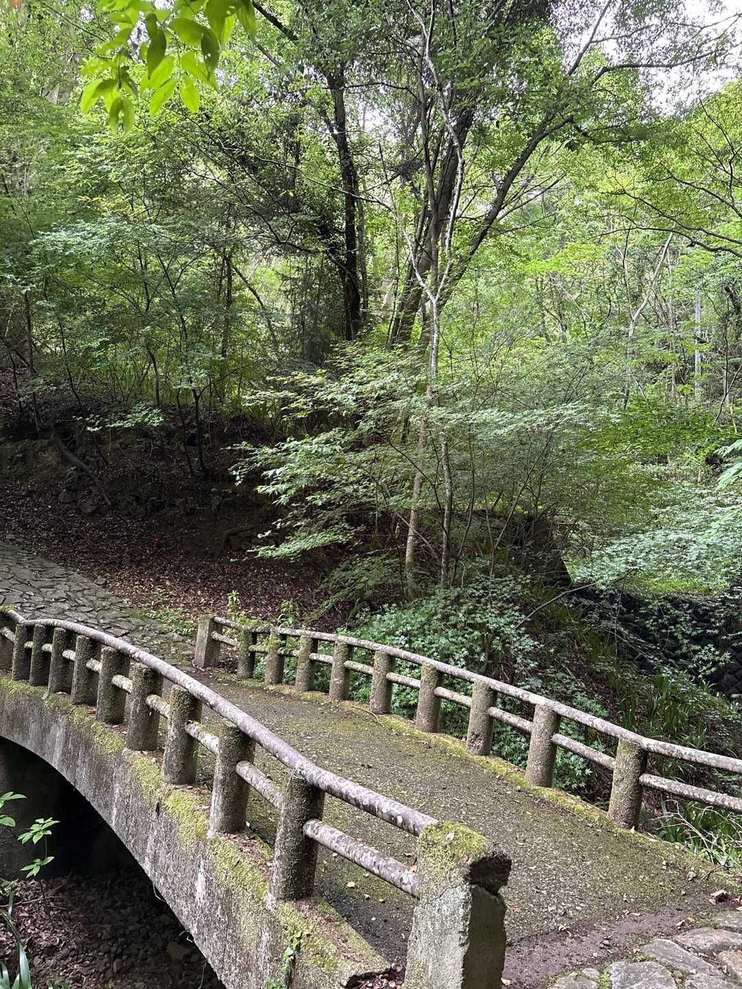 千帽子山-波濤嶽 往復コースの写真