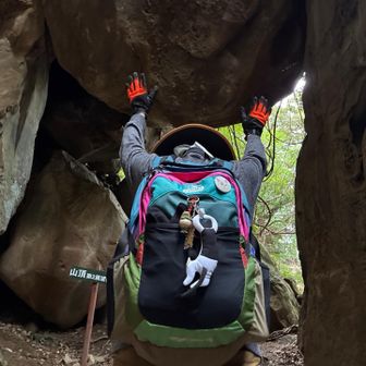 タロが岩を持ち上げたよ🪨