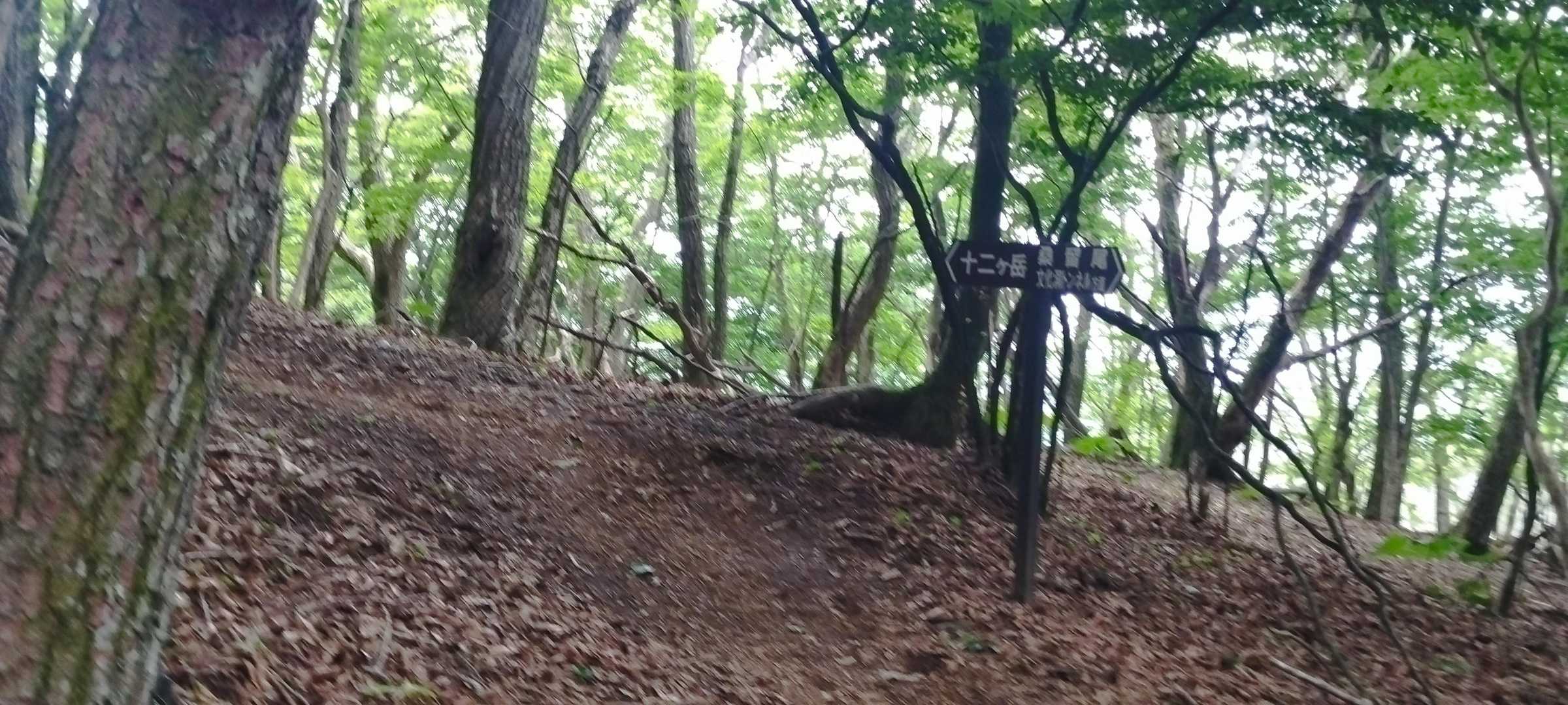 やっと登山道がまとまりました。