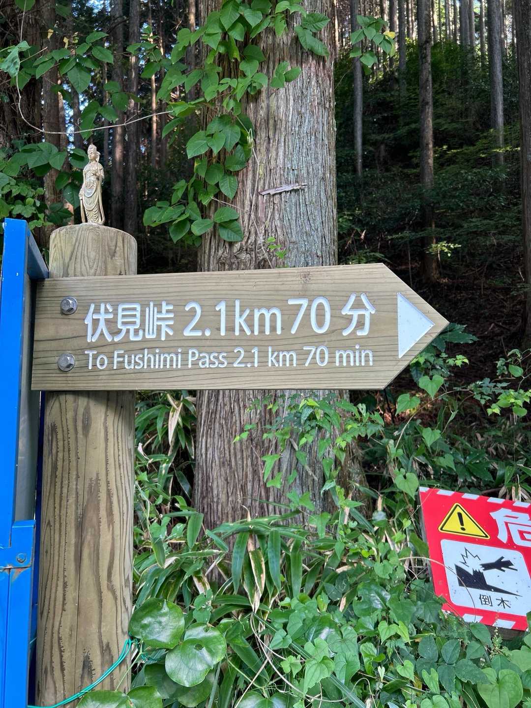 夫は他の道に行きたいようです🥹