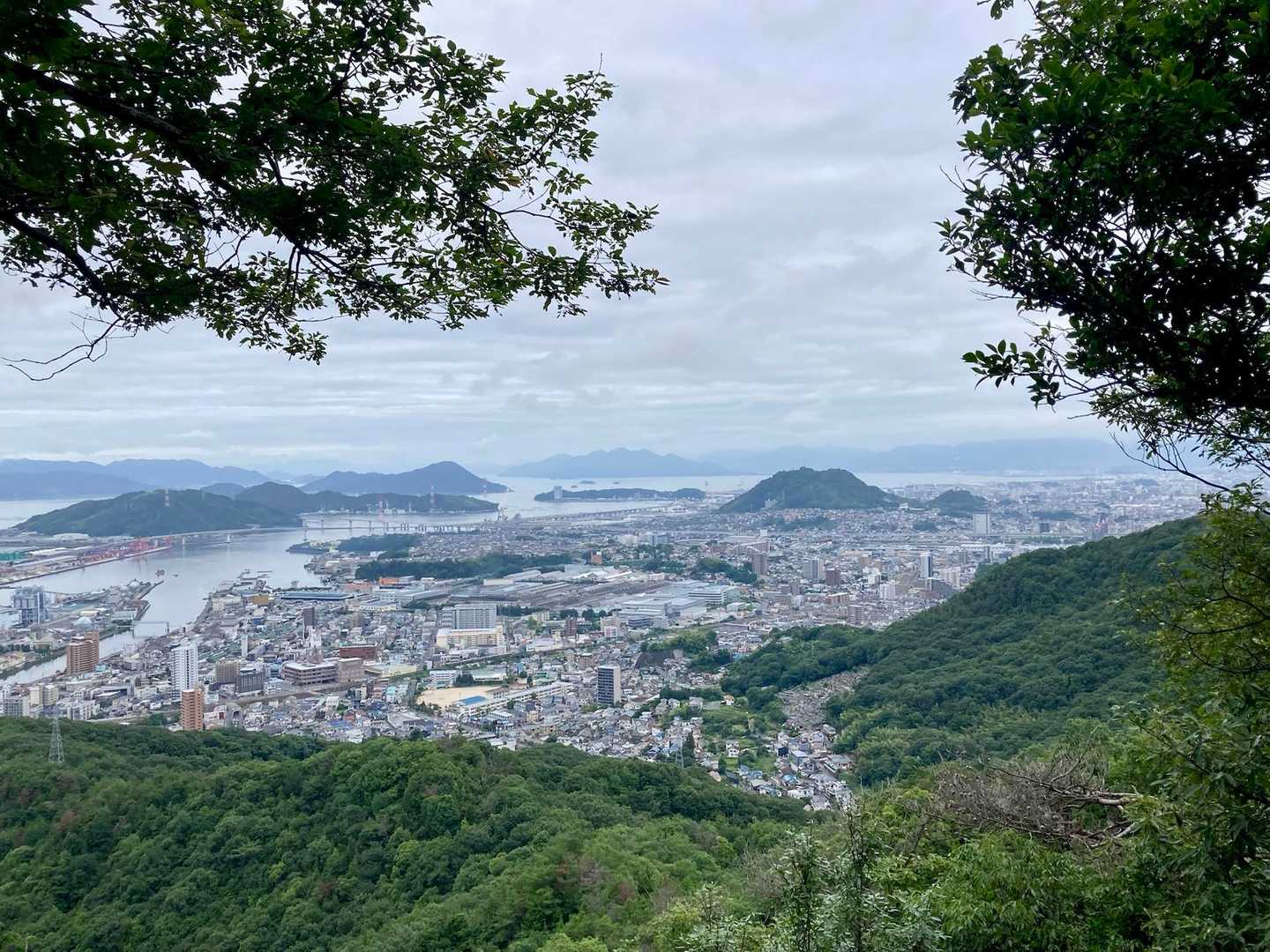 455癒しベンチ✨

今日もここにこれたことに感謝🥹

ルート上の倒木が片付けられてました！ありがとござます！