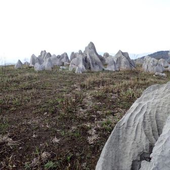 岩場の頂上でした。😳