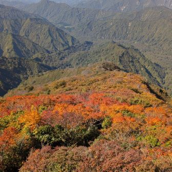 ずーっと続く急登がちょっとキツいですが、巻機山とか粟ヶ岳登れる方ならばそれほど難なく登れる山だと思いました。
キツイけれど眺望と紅葉のご褒美がチャラにしてくれます✨️登山道もきれいに刈払いされてとても歩きやすかったです👍️
この時期絶対おすすめの素晴らしい山です👍️