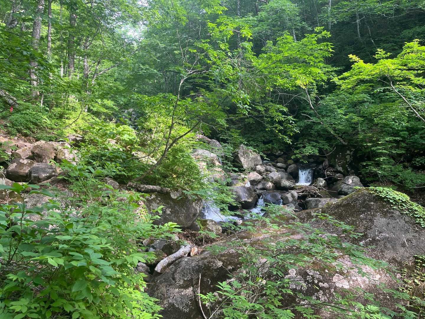 水場は涼しいね