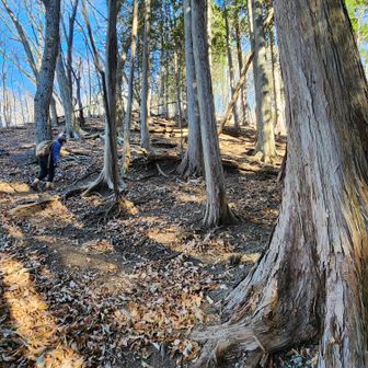 風穴の頭目指す。。。