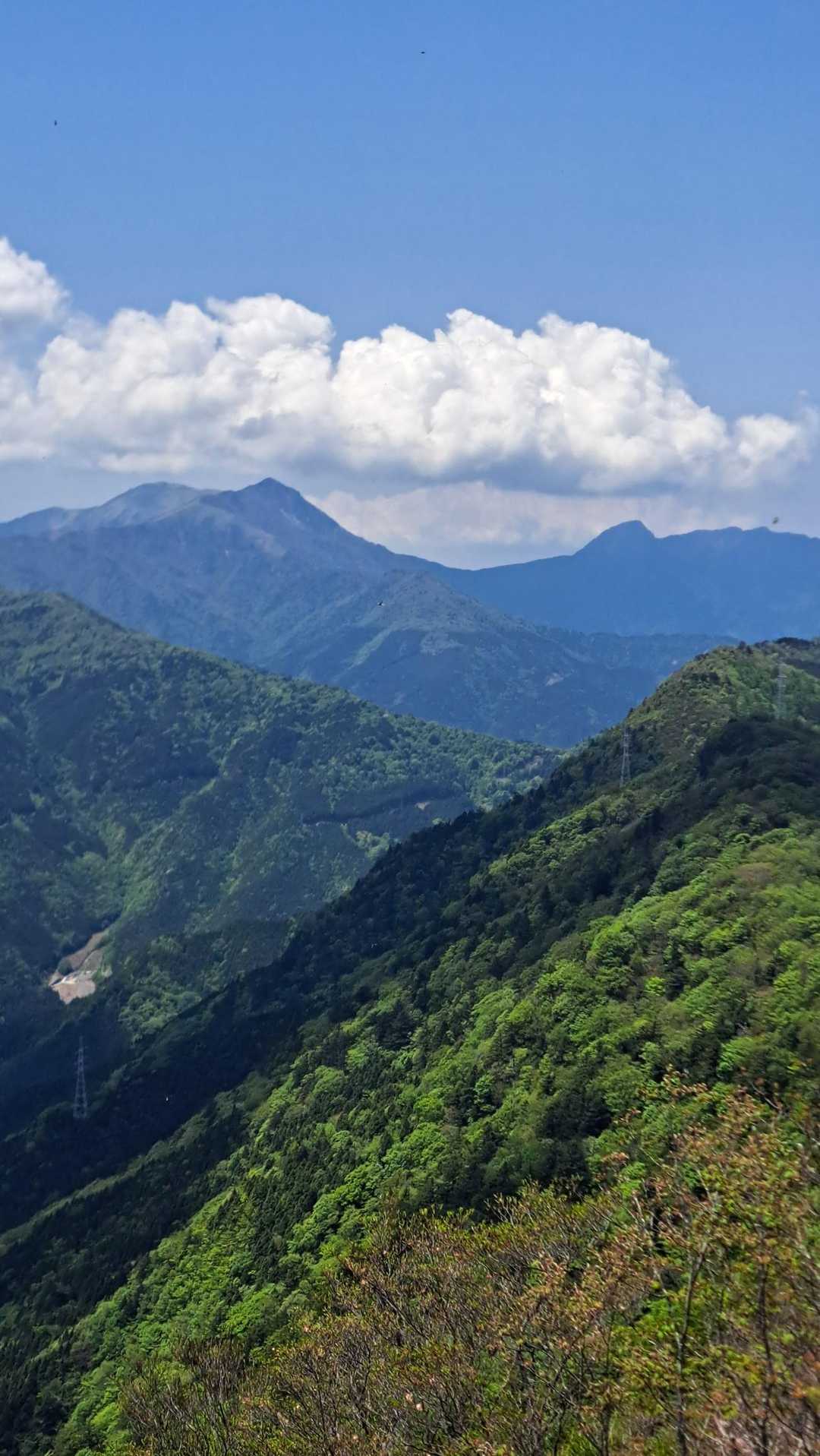 石鎚山系の
展望ポイントから

左手に笹ヶ峰・チチヤマ
右手に尖る沓掛山を遠望して見ました😀