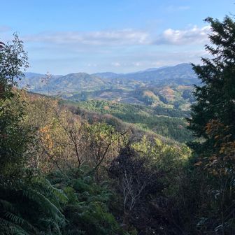 東側の眺望✨
周防大島方面かな
ご来光もしっかり拝めそう🌄