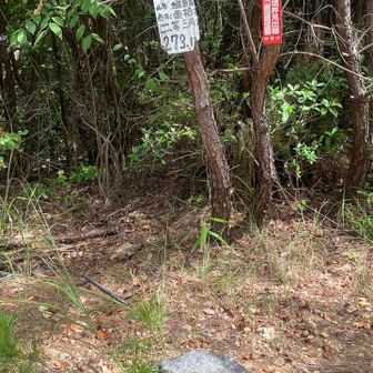 ここが継鹿尾山のピーク👍