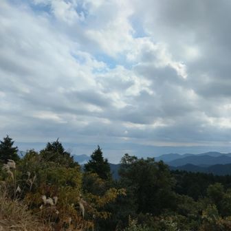 矢上の方向だっけ⁉️