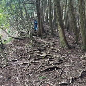 足が沁みるように疲れてきました。