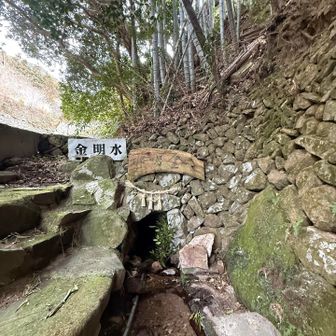 無事に探検出来ました🍀ありがとう✨